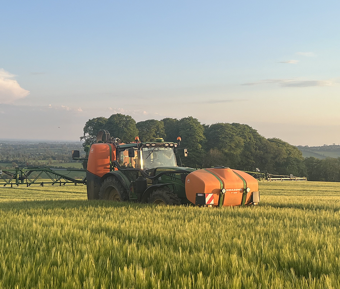 Tractor working in a wheat field at sunset