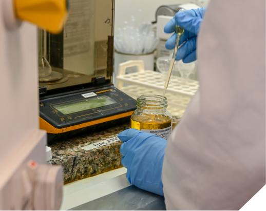 Scientist testing crop protection products in a laboratory