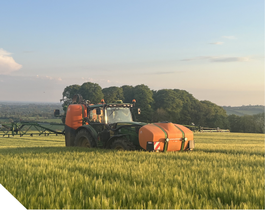 Tractor working in a wheat field at sunset